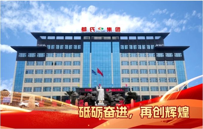 開好局 譜新篇——都氏集團(tuán)聯(lián)盛電力二期項(xiàng)目順利投產(chǎn)